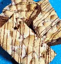 Smore brownie1 GF.webp