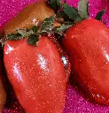 morango do amor3.webp